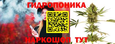 стафф Чапаевск